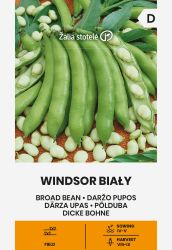Broad Bean Windsor Bialy Seeds
